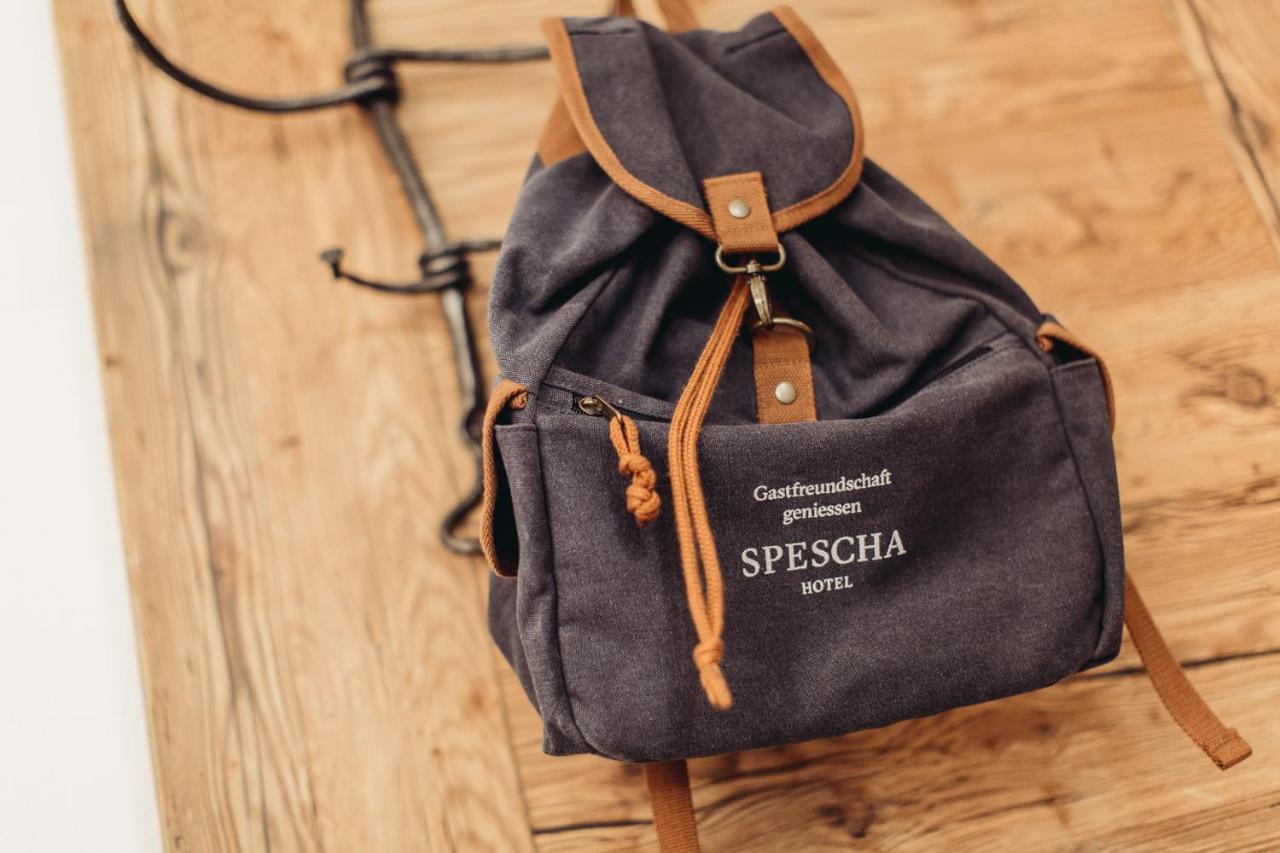 Hotel Spescha Лензерхайде Екстериор снимка